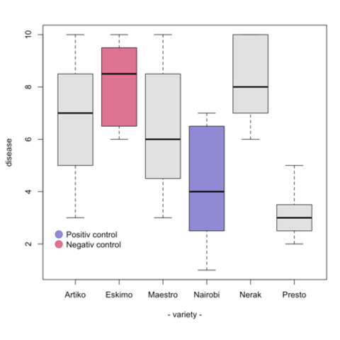 Chart Of R Colors